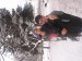 P1010037.JPG